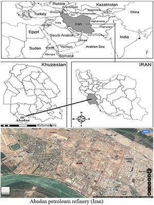 Assessing the effect of BTEX on blood and spirometry parameters staff in a petroleum refinery